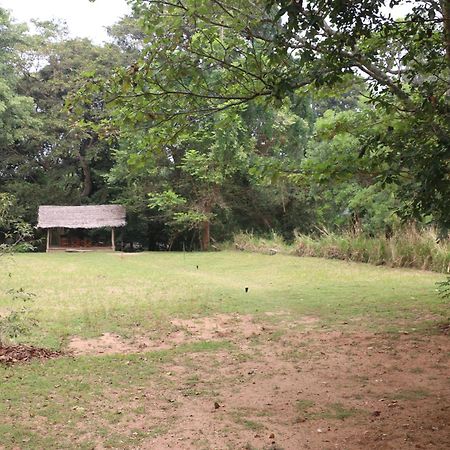 Wildescape, Yala Blocks 3 & 5 Villa Buttala Exterior foto