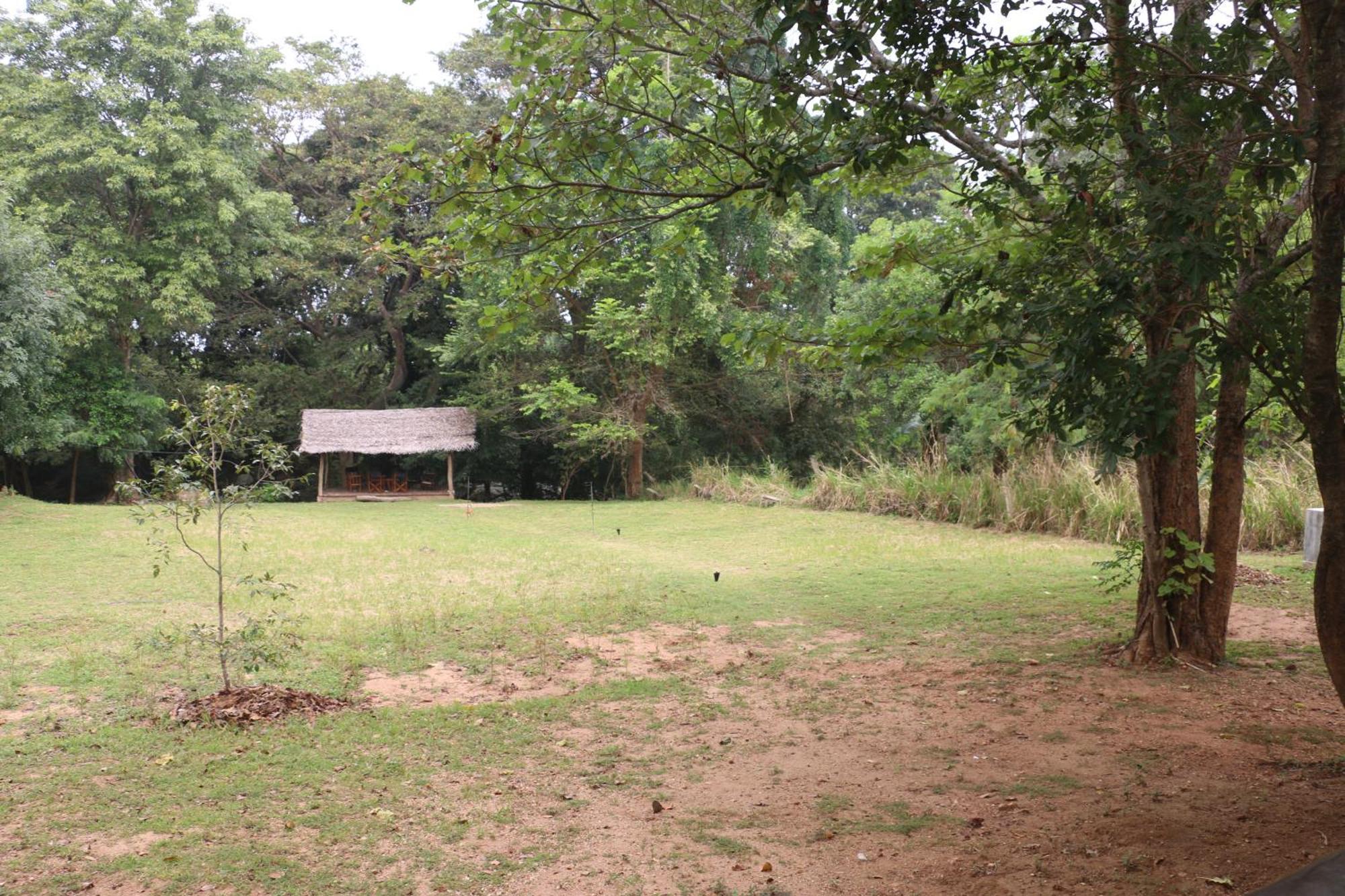 Wildescape, Yala Blocks 3 & 5 Villa Buttala Exterior foto
