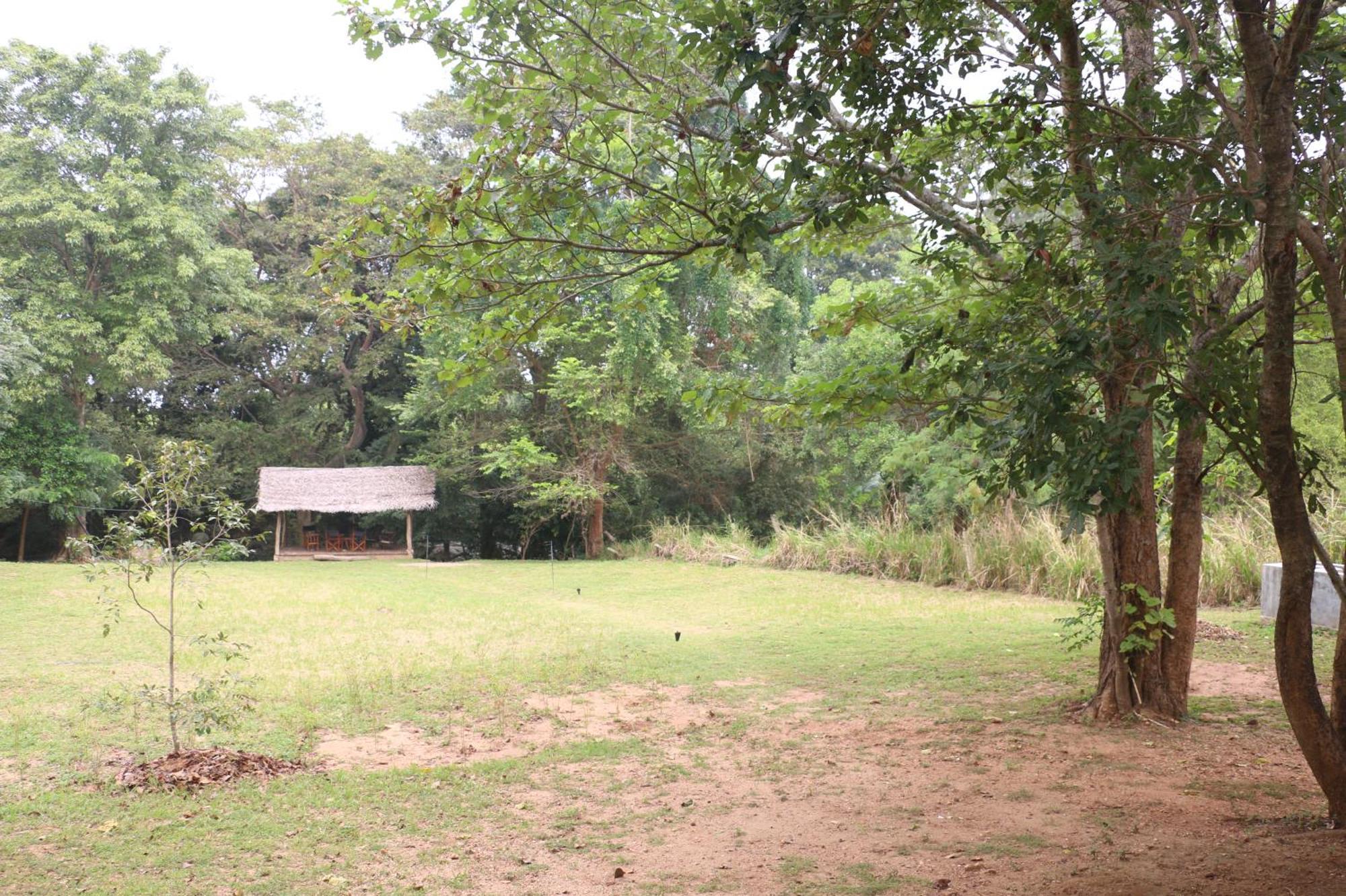 Wildescape, Yala Blocks 3 & 5 Villa Buttala Exterior foto