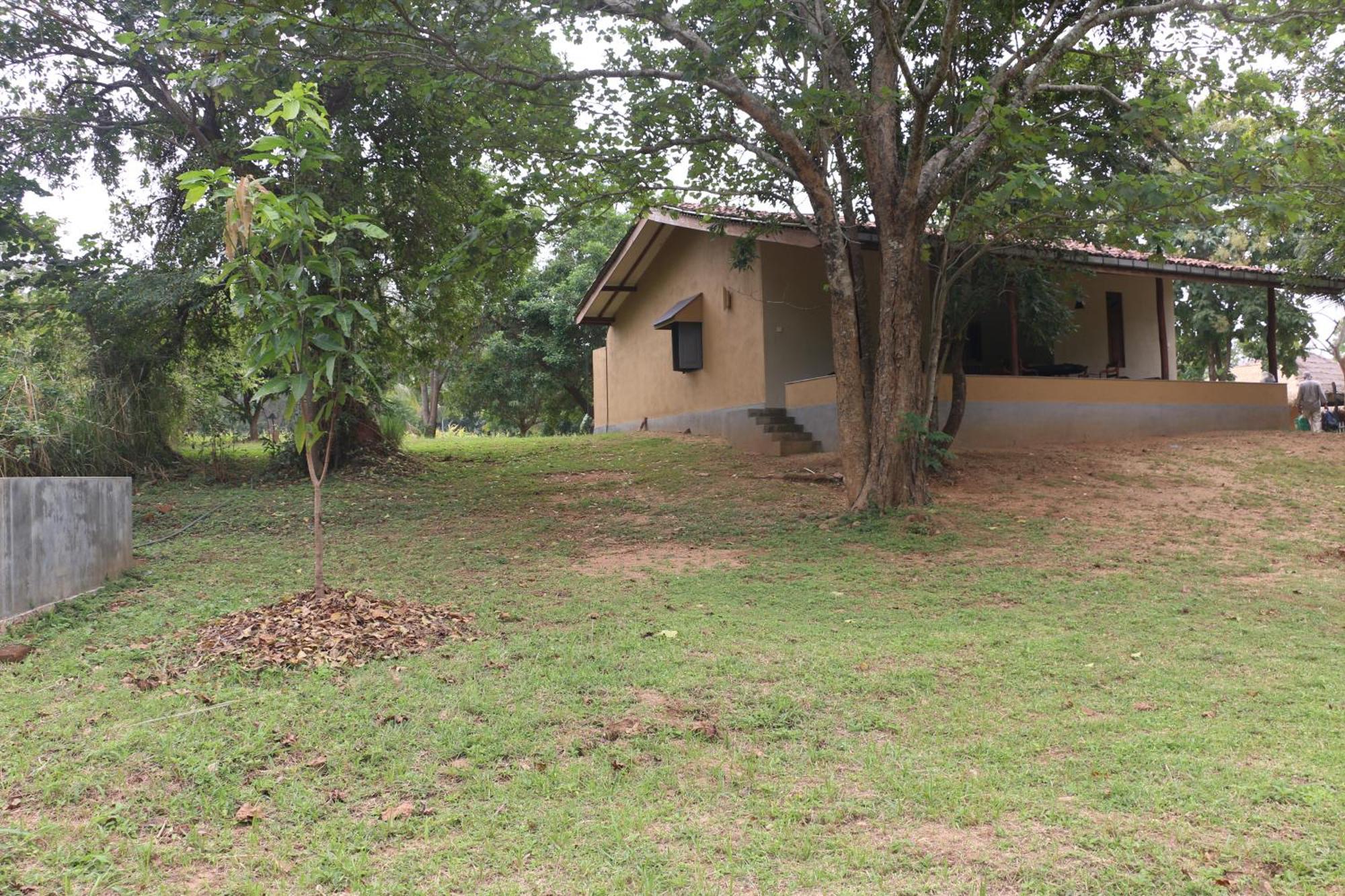 Wildescape, Yala Blocks 3 & 5 Villa Buttala Exterior foto