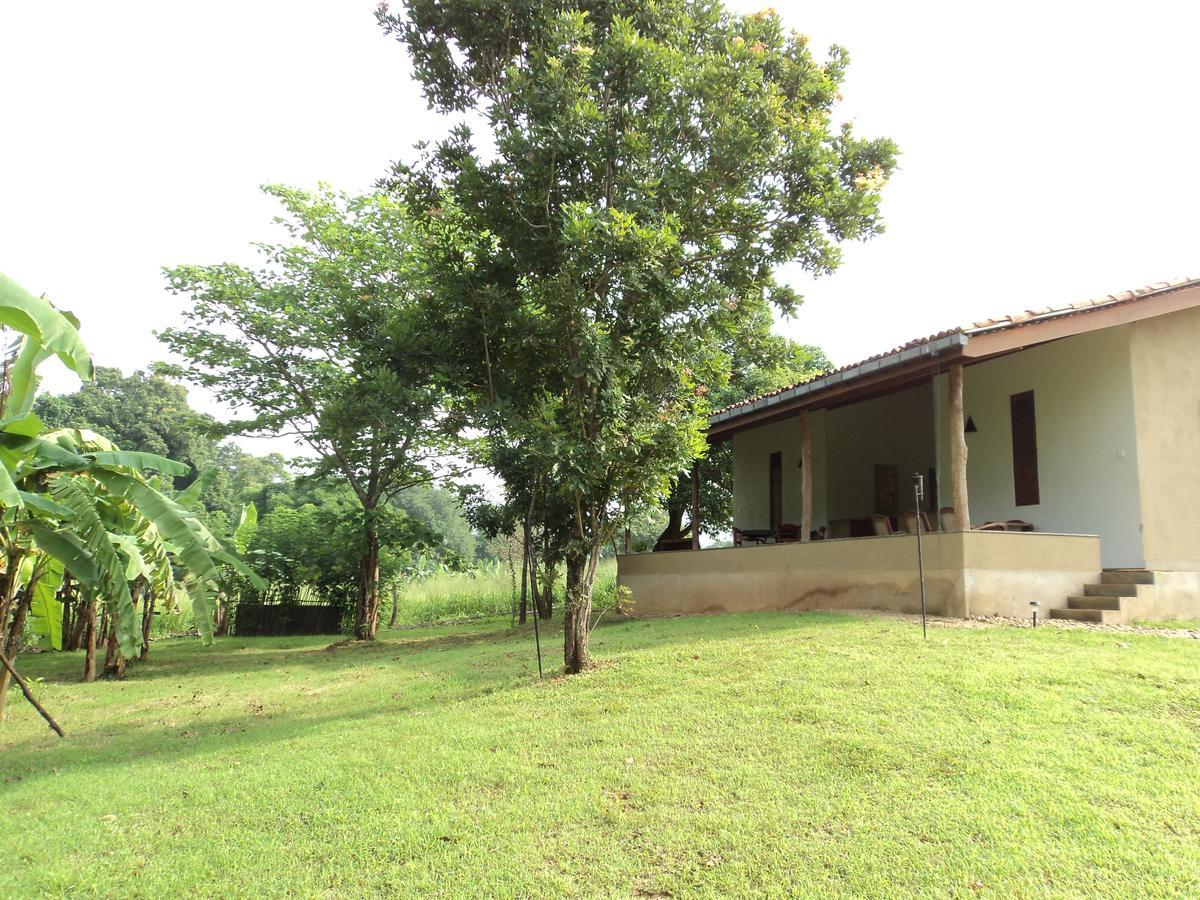 Wildescape, Yala Blocks 3 & 5 Villa Buttala Exterior foto