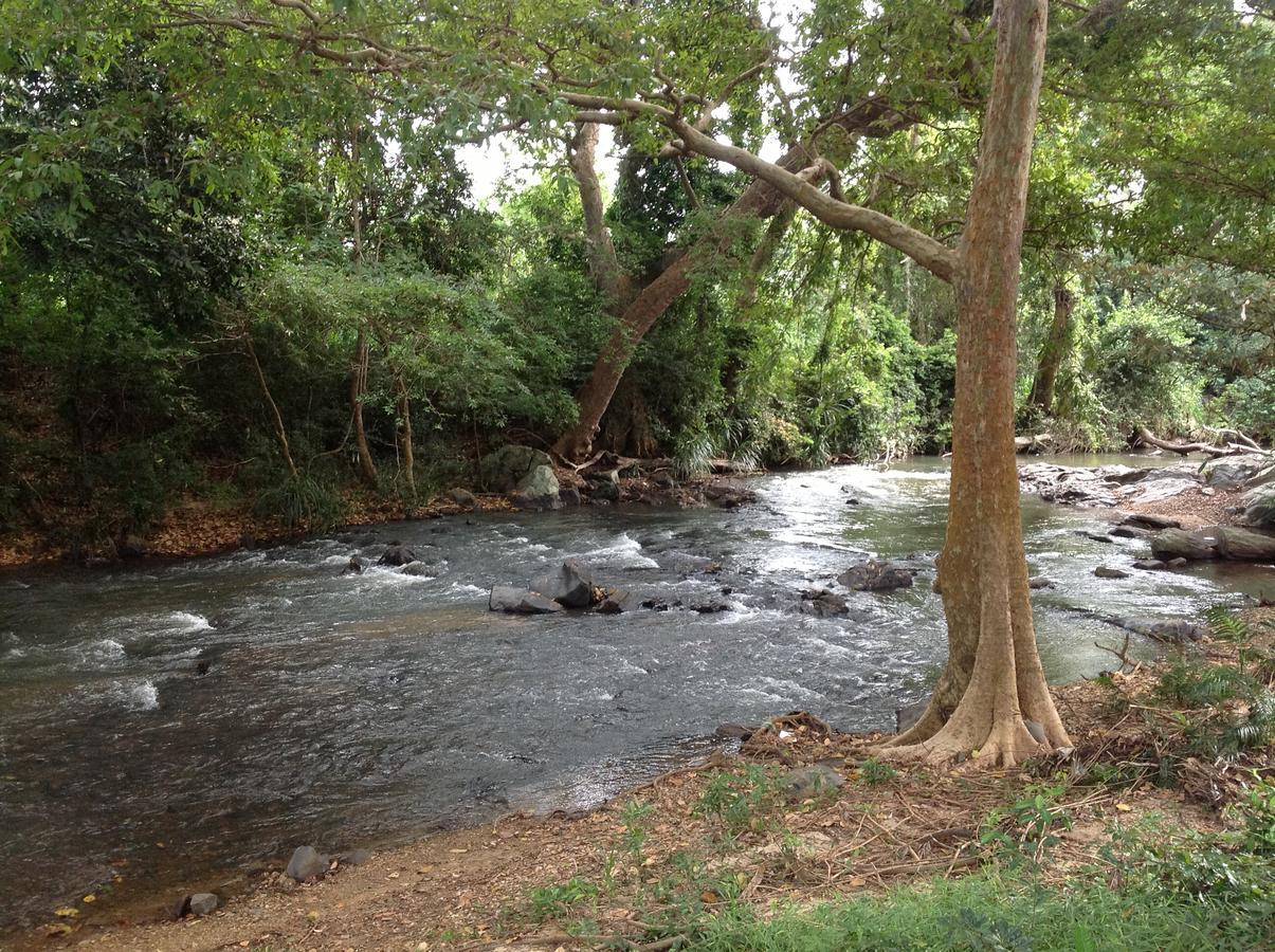 Wildescape, Yala Blocks 3 & 5 Villa Buttala Exterior foto
