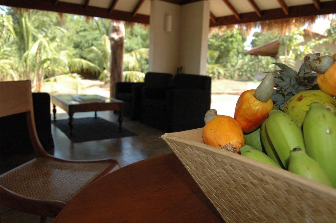 Wildescape, Yala Blocks 3 & 5 Villa Buttala Exterior foto
