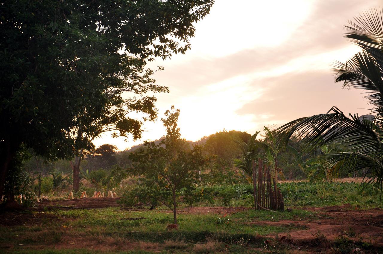 Wildescape, Yala Blocks 3 & 5 Villa Buttala Exterior foto